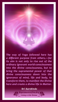 Way of Yoga for Divine Life.jpg